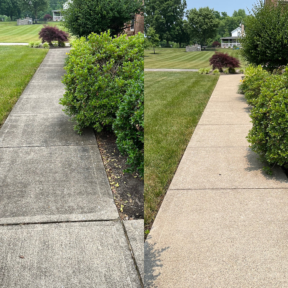 Powell Pro Wash driveway before and after pressure washing